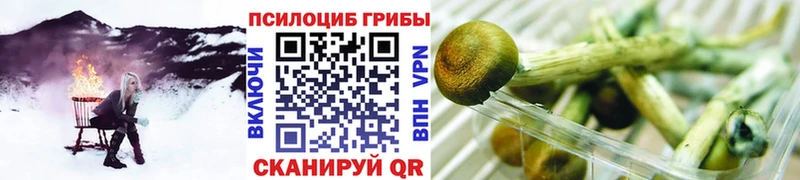 Галлюциногенные грибы мухоморы  Купить  Наро-Фоминск 